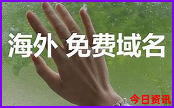 香港历史开奖记录查询表最新章节